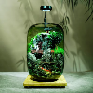 glass aquariums (5)